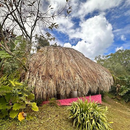 Sierra Alta Finca Boutique Villa Minca Esterno foto